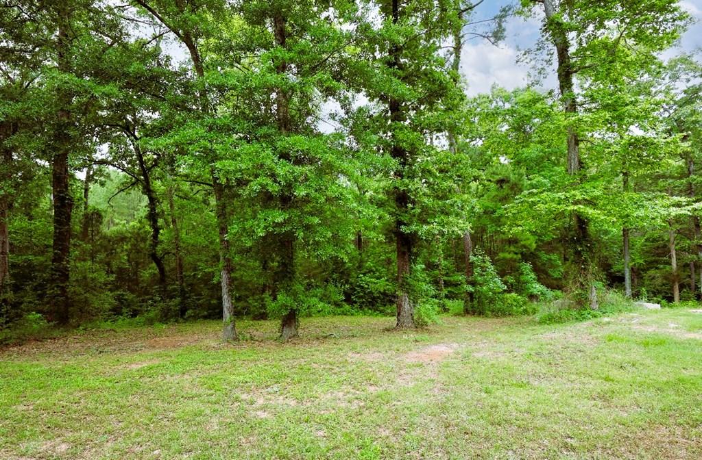 344 Lightfoot Road Property Photo 30