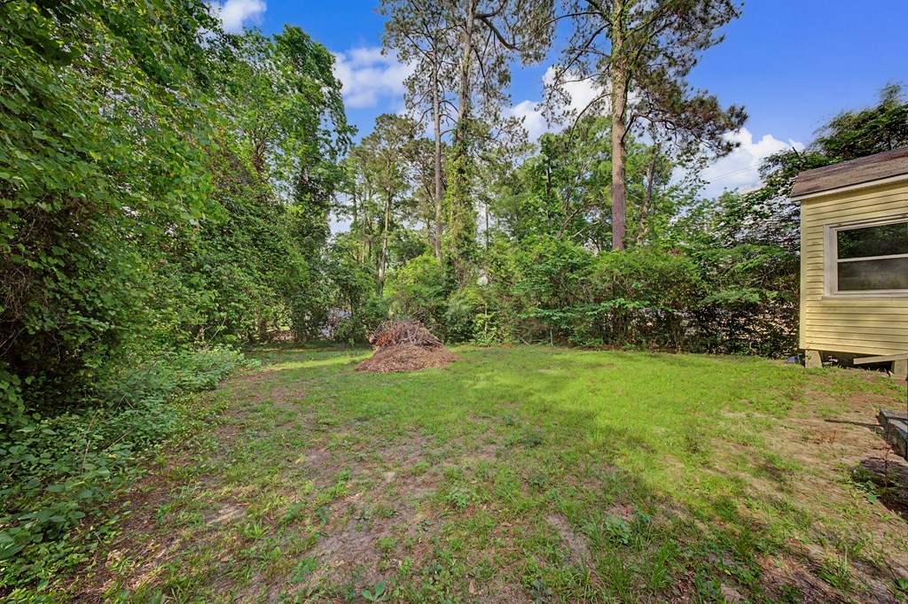 202 Cavin Street Property Photo 3