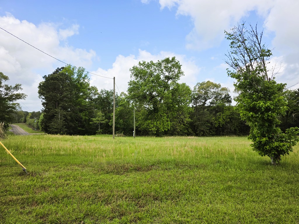 8081 Fm 256 Property Photo 2