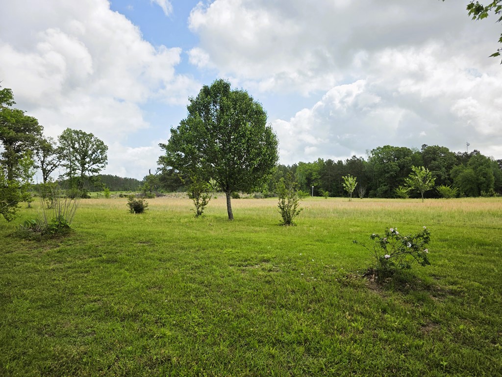 8081 Fm 256 Property Photo 4