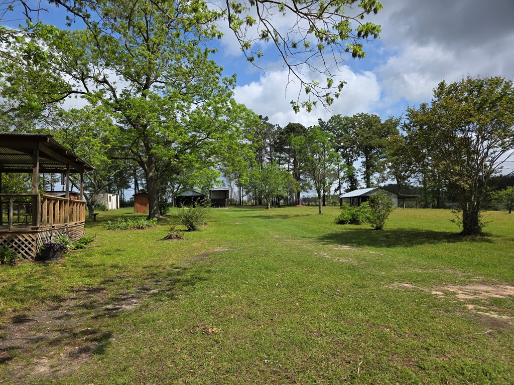 8081 Fm 256 Property Photo 35
