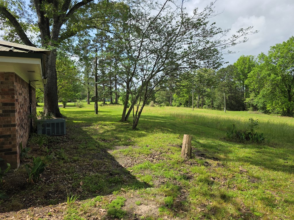 8081 Fm 256 Property Photo 37