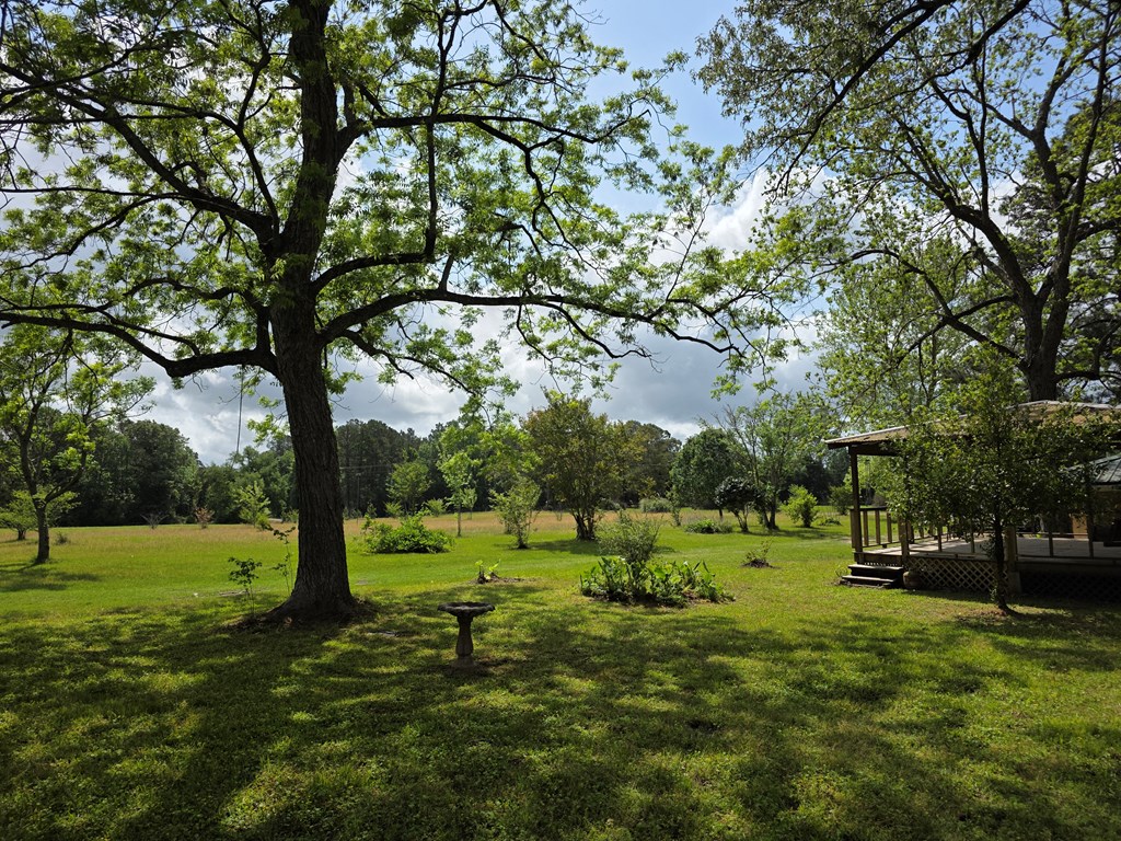 8081 Fm 256 Property Photo 39