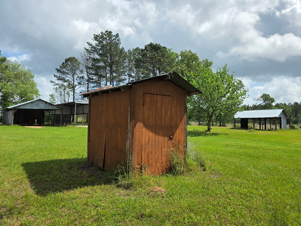 8081 Fm 256 Property Photo 41