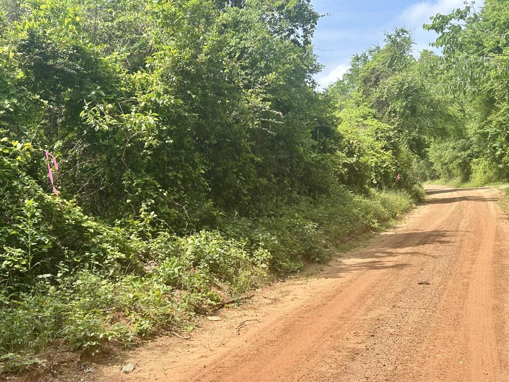 Lot 14 Cr 175 Dobbs Rd Property Photo 1