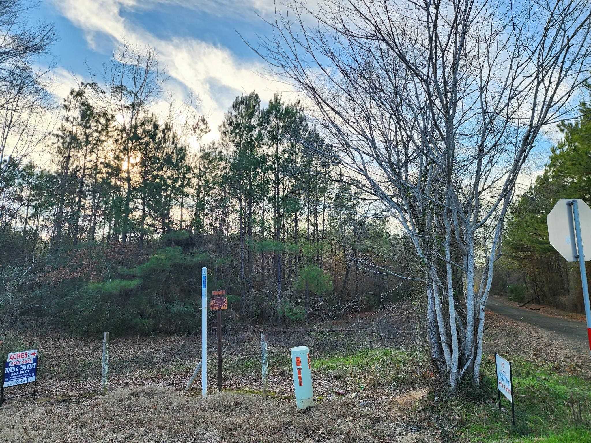 6878 Fm 415 Property Photo 15
