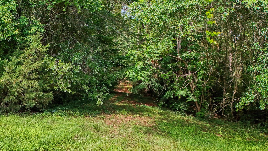 825 Mount Carmel Rd Property Photo 24