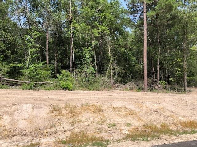 121 Yaupon Court Property Photo 1
