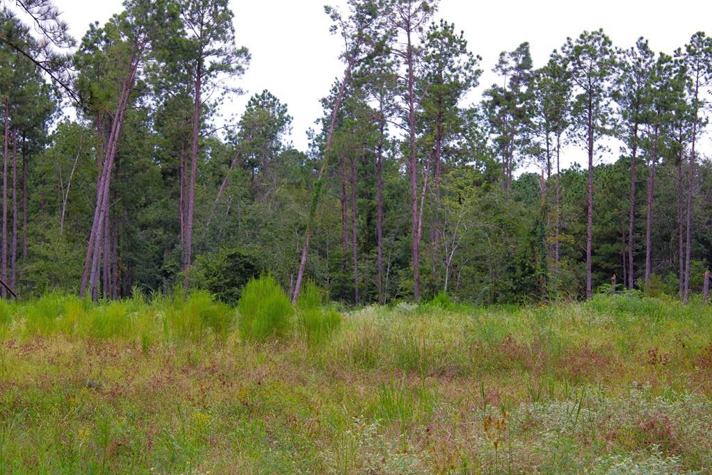 Pid 29607 Ben Dunn Road Property Photo 1