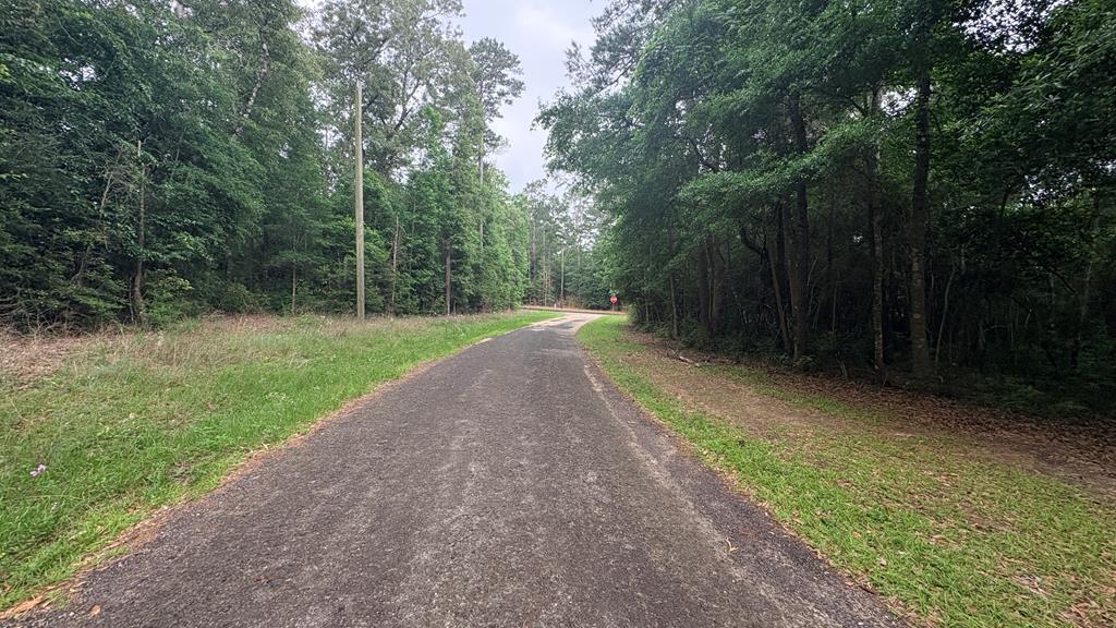 Lot 19&20 Perdilot Drive Property Photo 1