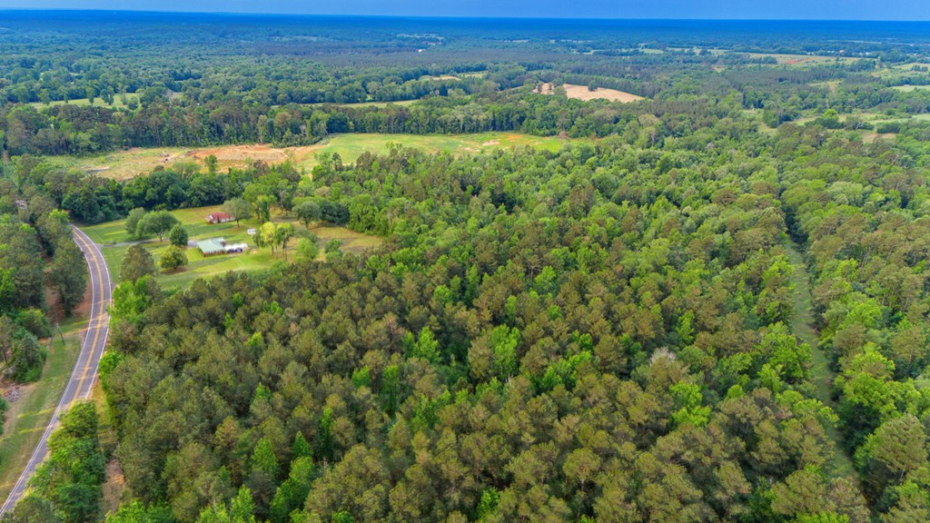 13685 Fm 343 Property Photo 7