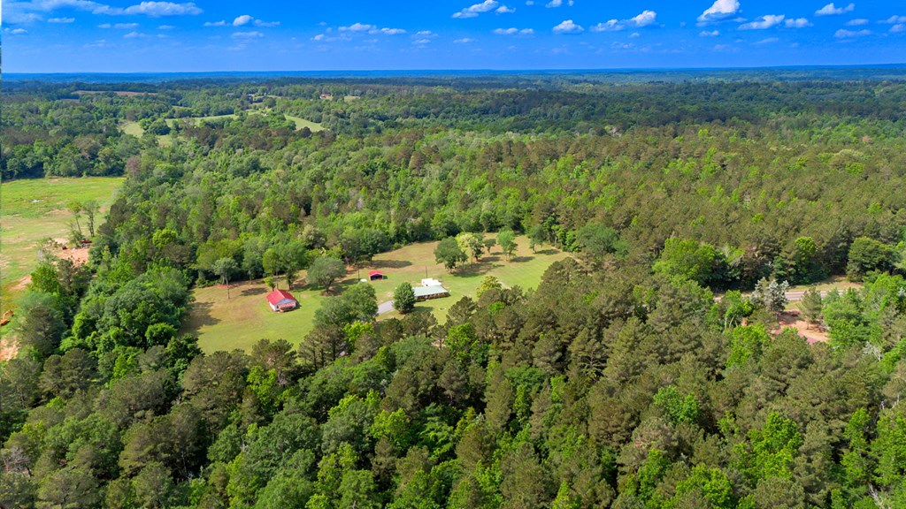 13685 Fm 343 Property Photo 11