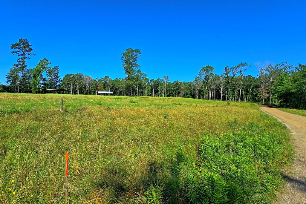 222 Gandy Dr Property Photo 2