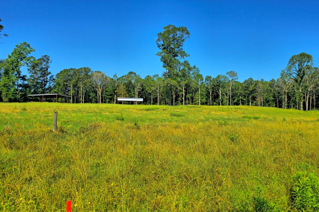 222 Gandy Dr Property Photo 3