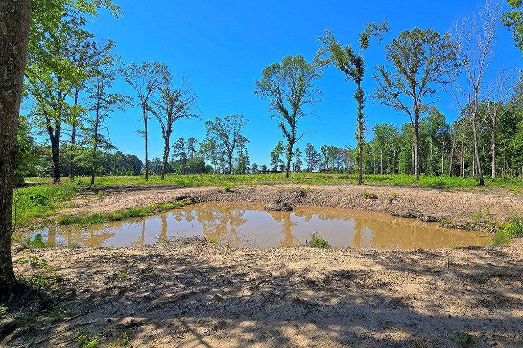 222 Gandy Dr Property Photo 4