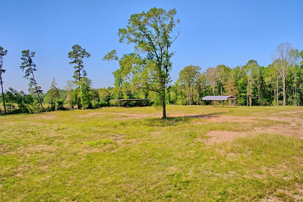 222 Gandy Dr Property Photo 6