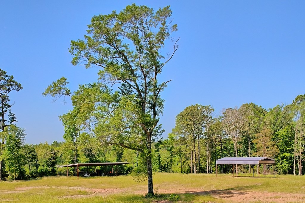 222 Gandy Dr Property Photo 7