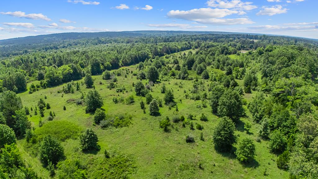 116.6 +/- Acres Cr 425 Property Photo 1