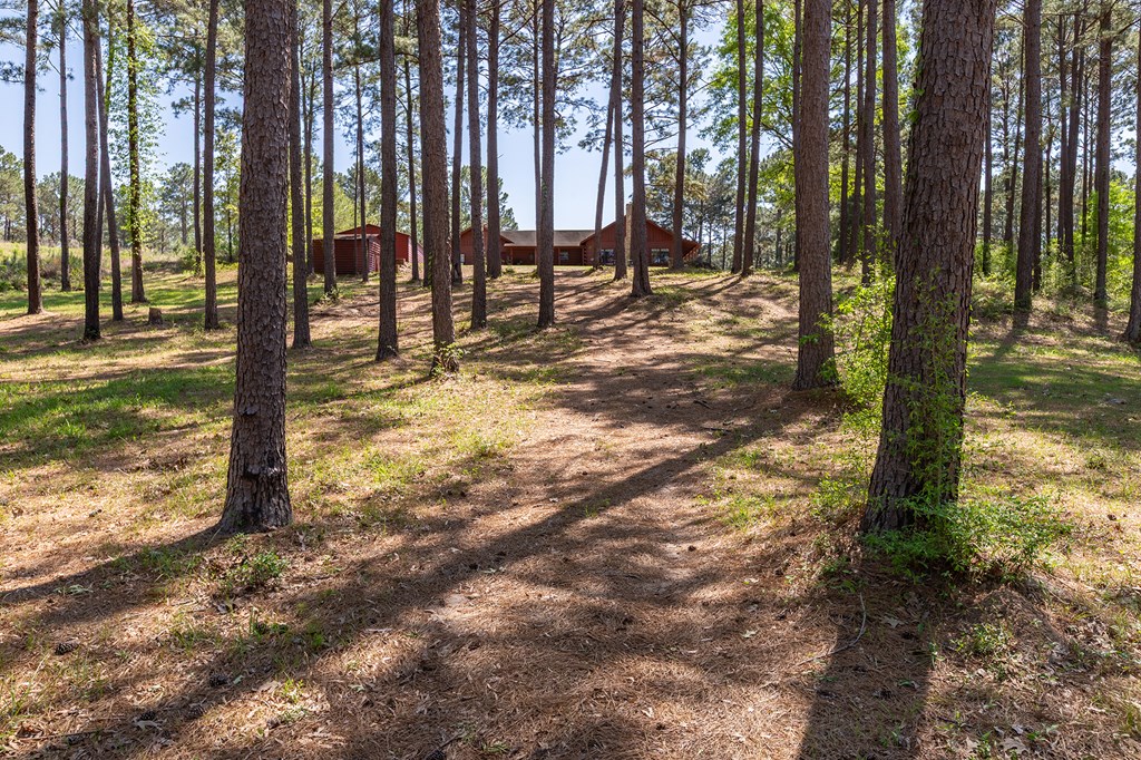 560 Pr 8525 Property Photo 53