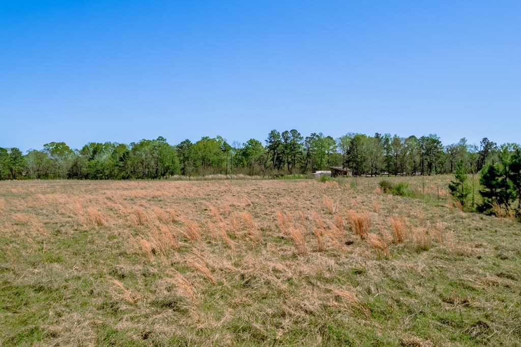 A00008 Kickapoo Road Property Photo 5