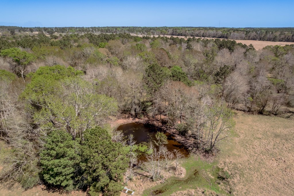 A00008 Kickapoo Road Property Photo 8