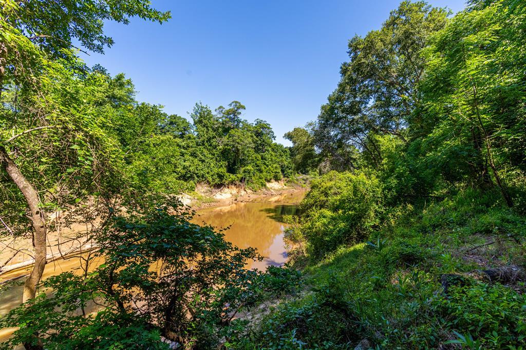 23319 Fm 343 Property Photo 1