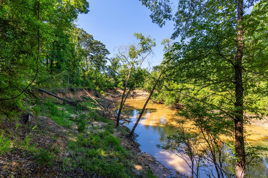 23319 Fm 343 Property Photo 2