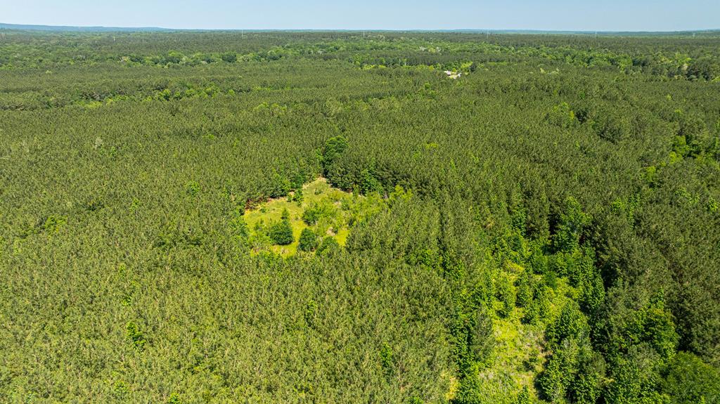 23319 Fm 343 Property Photo 5