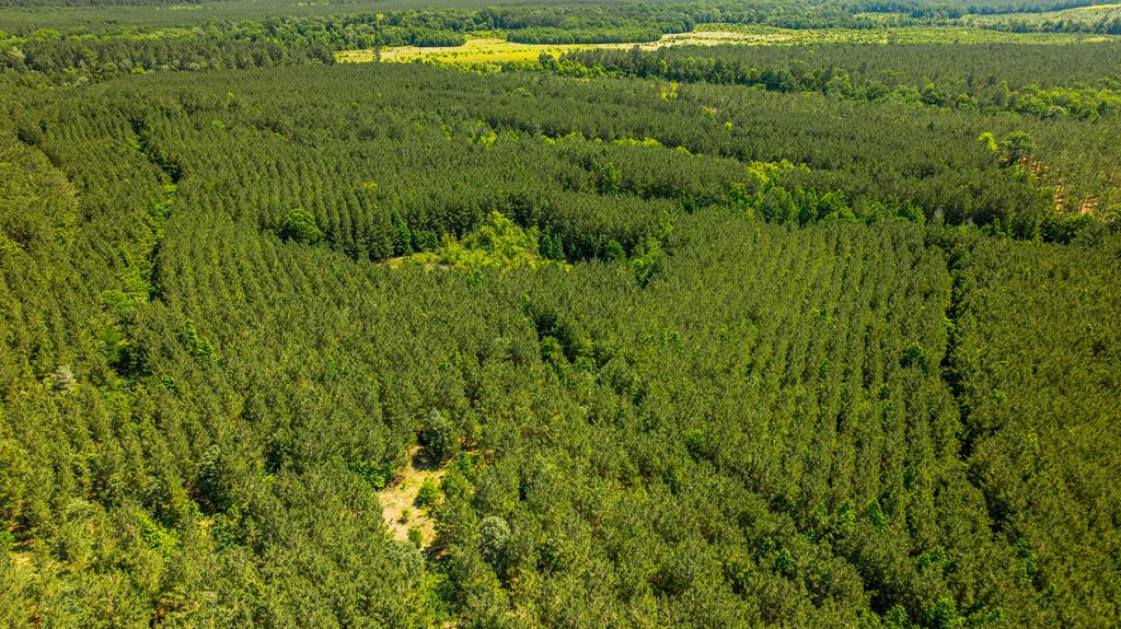 23319 Fm 343 Property Photo 7
