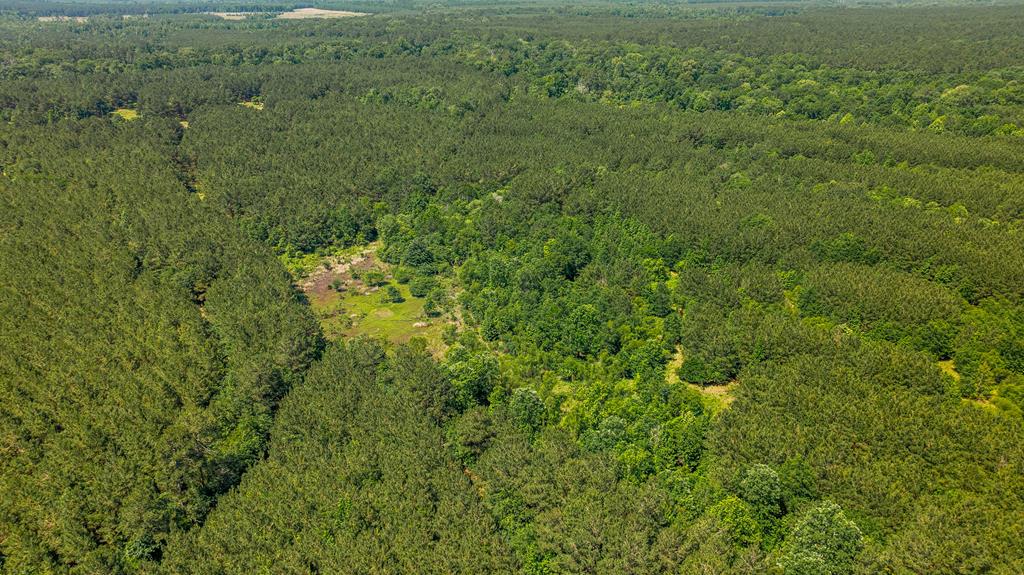 23319 Fm 343 Property Photo 13