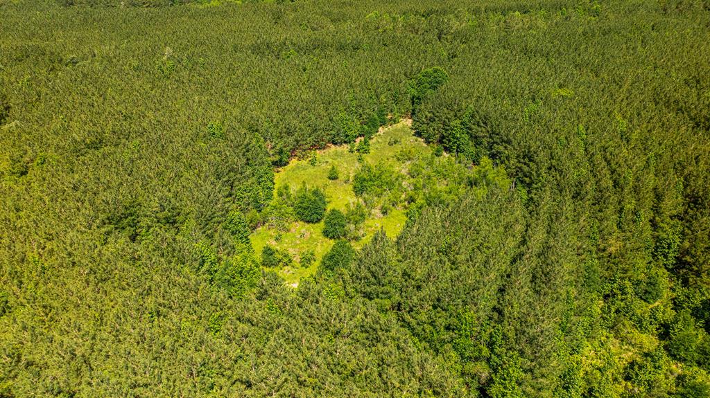 23319 Fm 343 Property Photo 15