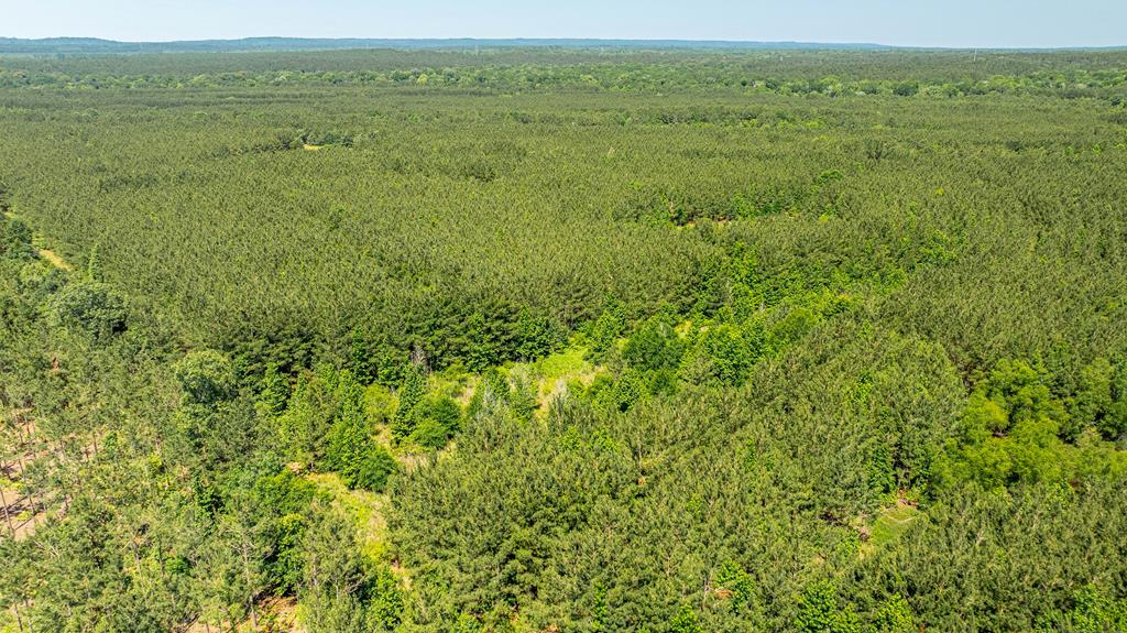 23319 Fm 343 Property Photo 18