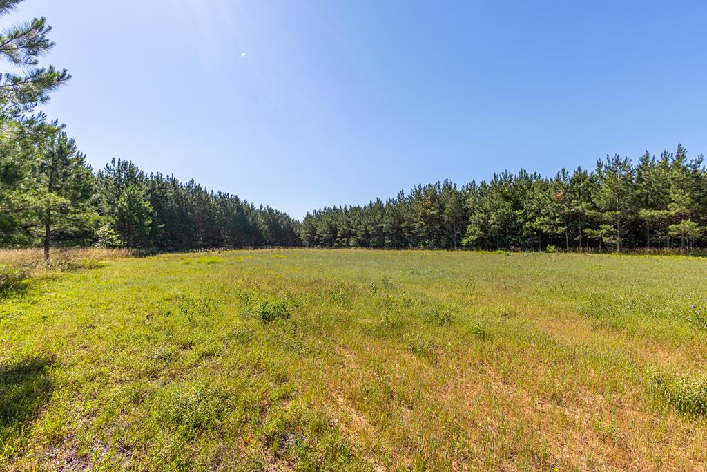 23319 Fm 343 Property Photo 24