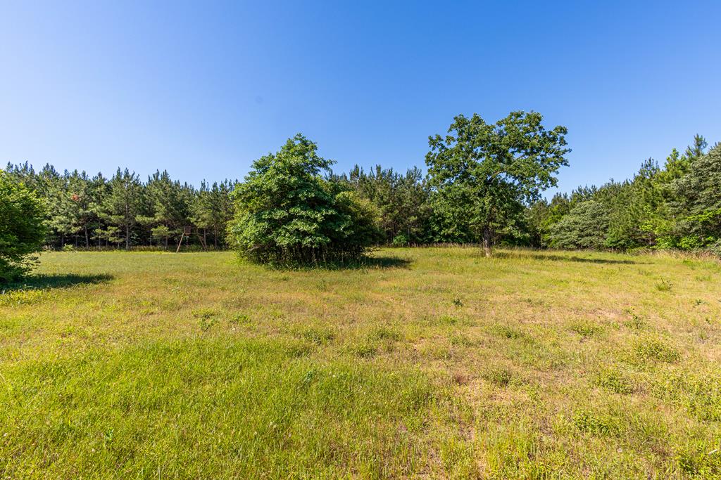 23319 Fm 343 Property Photo 25