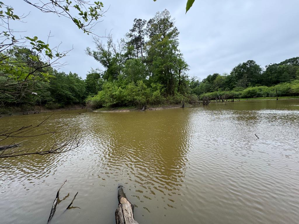 23319 Fm 343 Property Photo 26