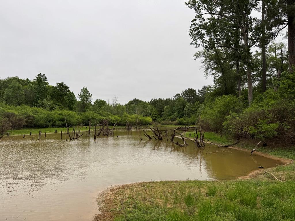 23319 Fm 343 Property Photo 27