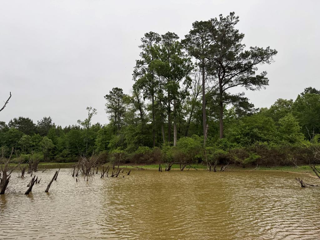 23319 Fm 343 Property Photo 28