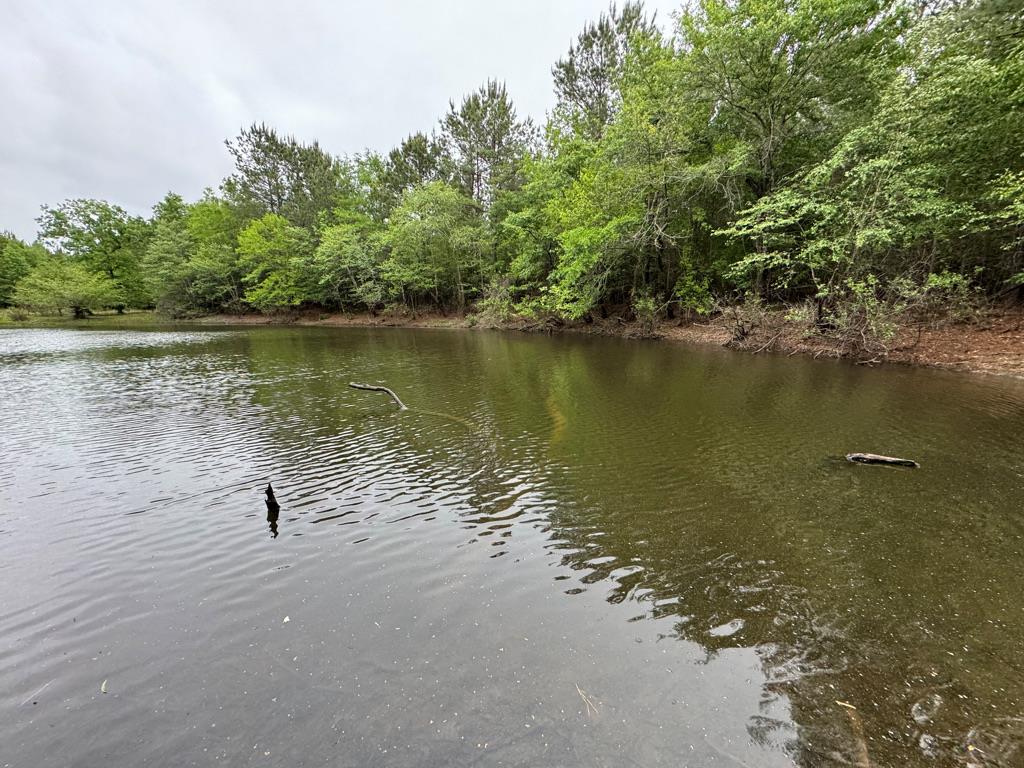 23319 Fm 343 Property Photo 29