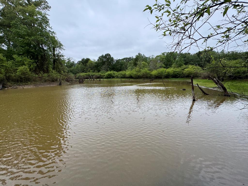 23319 Fm 343 Property Photo 32
