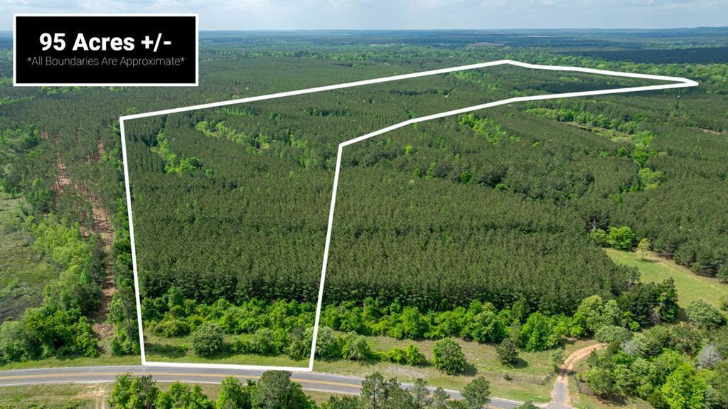 23319 Fm 343 Property Photo 34
