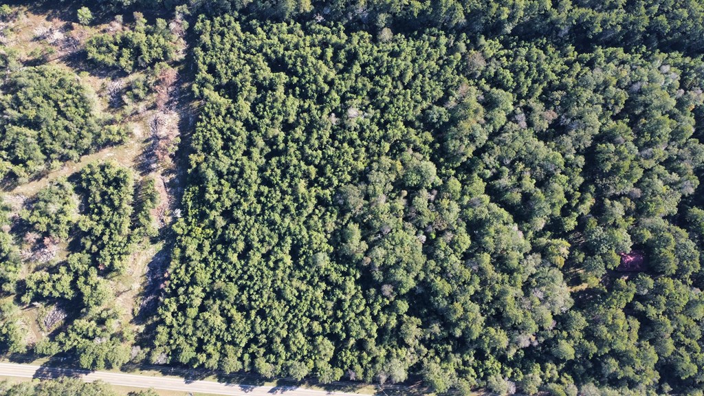 Tract 1 Property Photo 4