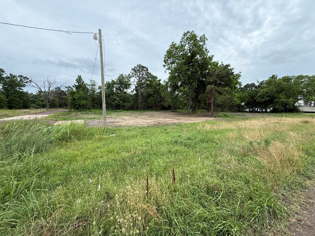 462 Archie St Property Photo 2