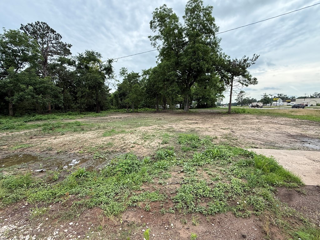 462 Archie St Property Photo 3