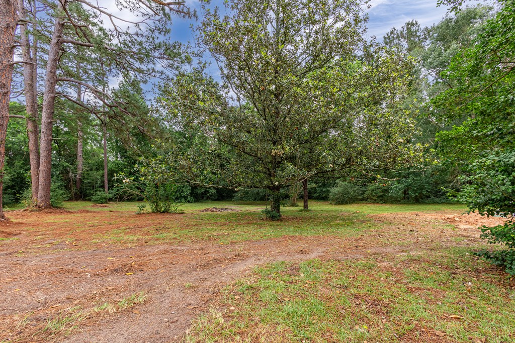 1992 Fm 776 Property Photo 18