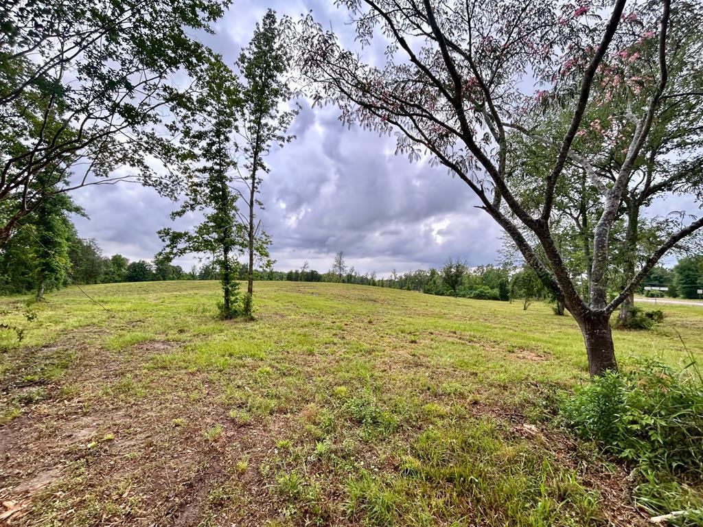 4010 Highway 63 E Property Photo 2
