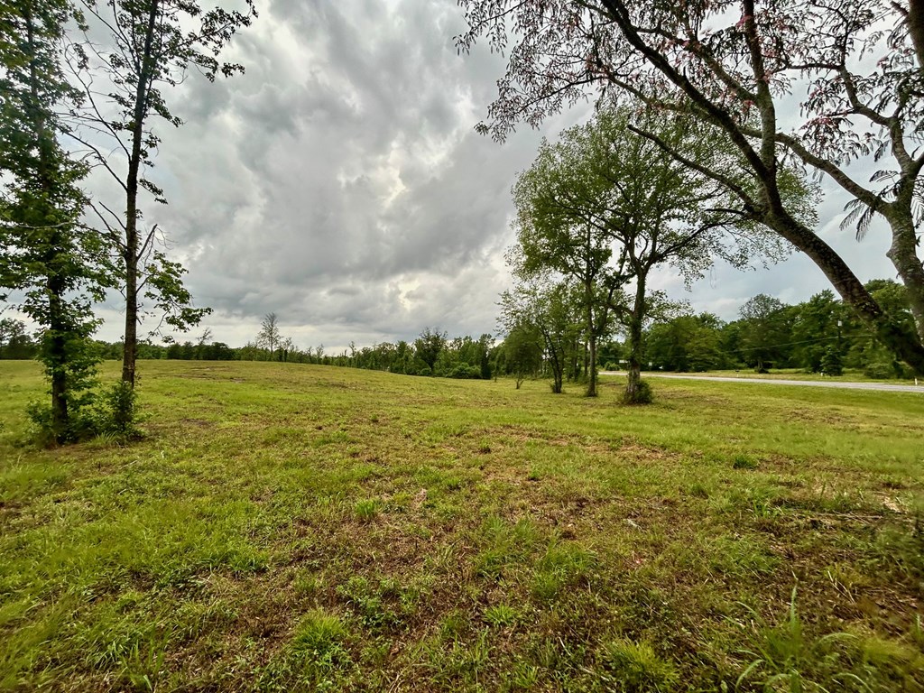 4010 Highway 63 E Property Photo 3