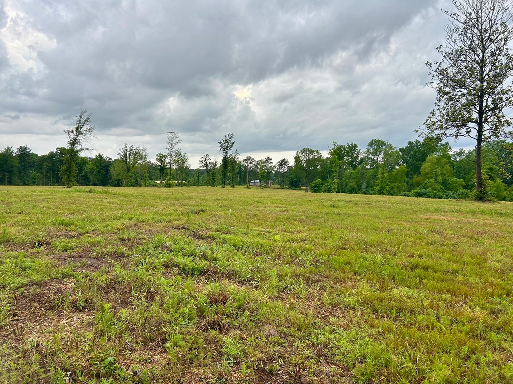 4010 Highway 63 E Property Photo 4