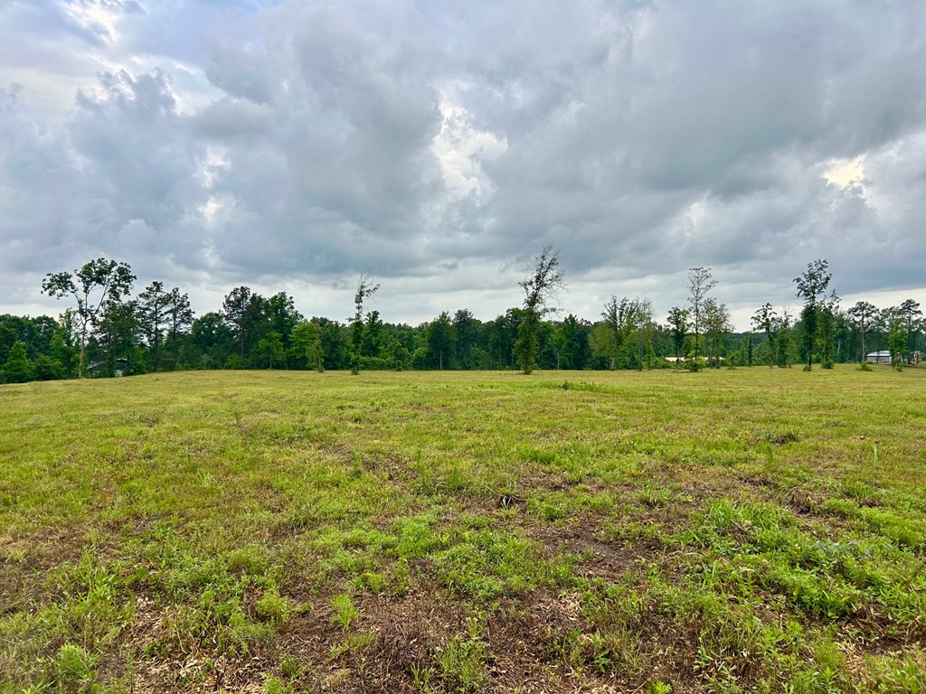 4010 Highway 63 E Property Photo 5