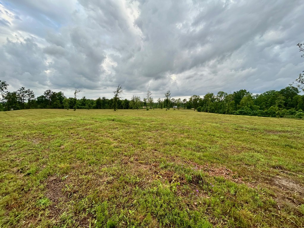 4010 Highway 63 E Property Photo 6