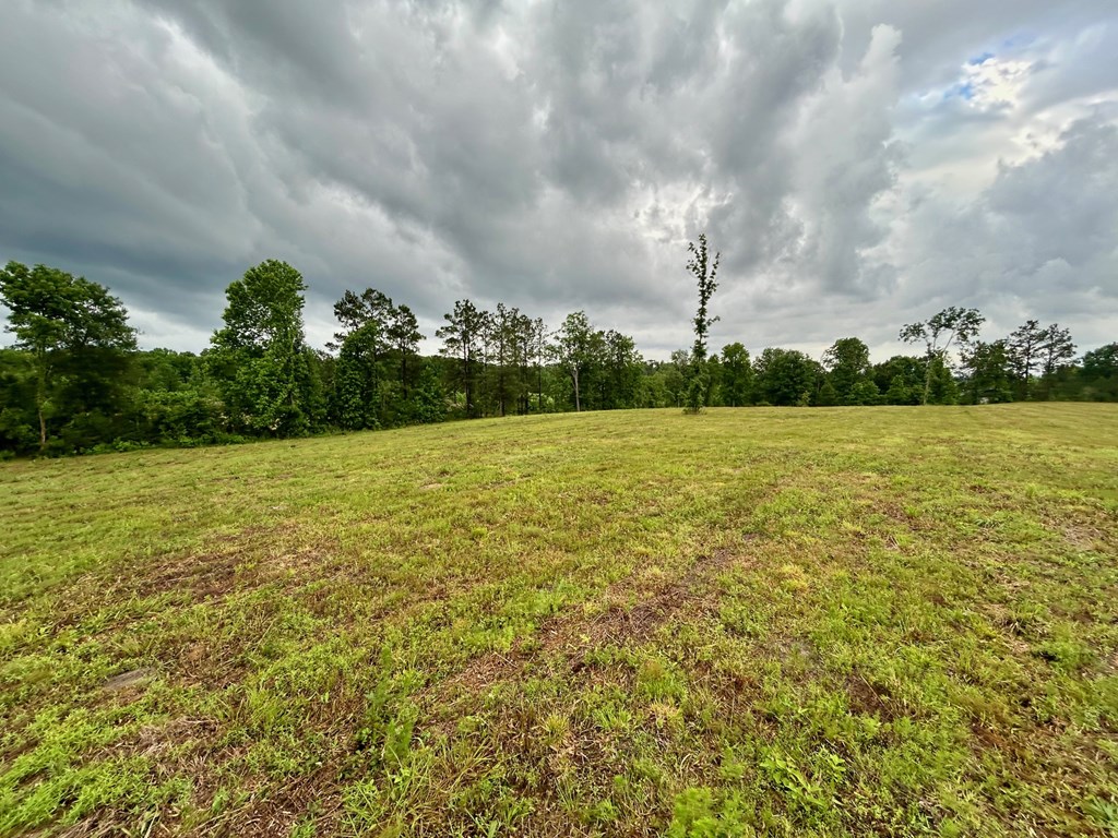 4010 Highway 63 E Property Photo 7